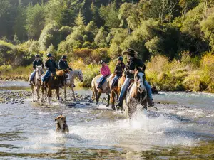 Korohe Horse Treks