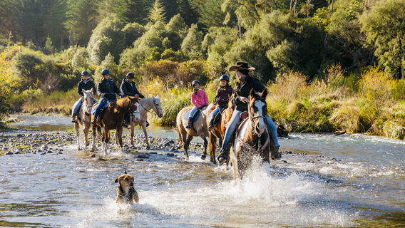 Turangi