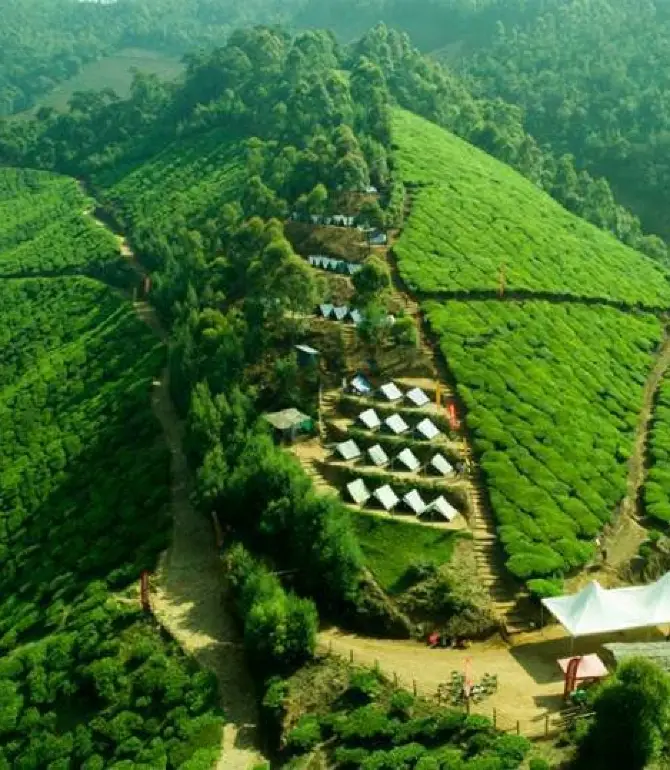 Suryanelli