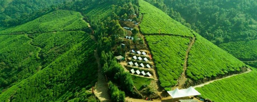 Tea Town Munnar