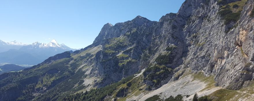 Schellenberger Forst