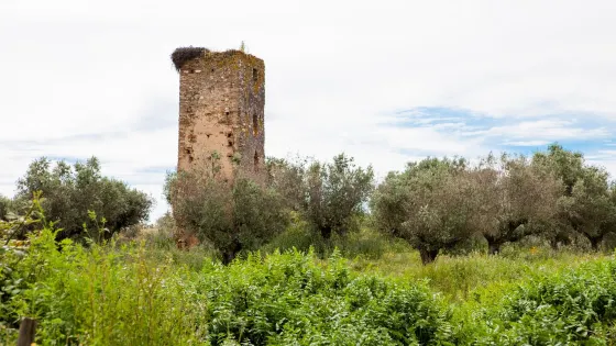 Torre de Val-Boim