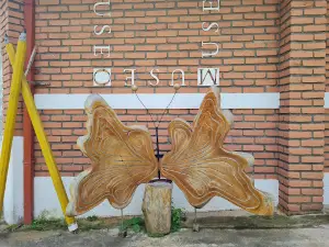 Salcoatitán. Central Park