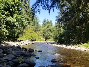 H.b. Van Duzer Forest State Scenic Corridor