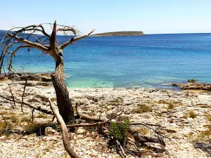 Plaža Zabodarski