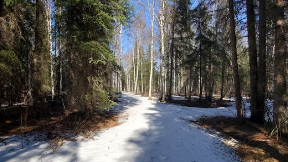 Chena Lakes