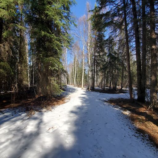 Chena Lakes