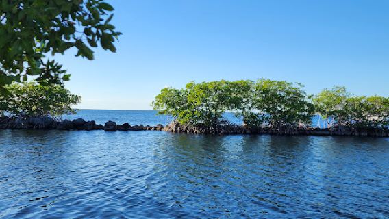 Rowell's Waterfront Park