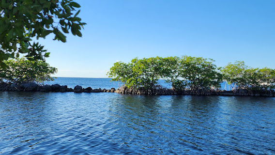 Парк Роуэллс Уотерфронт