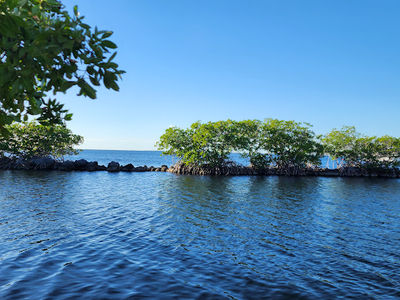 Rowell's Waterfront Park