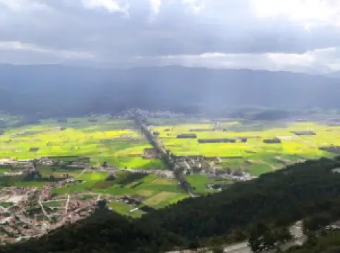 Gökova Eski Ağaçlı Yol