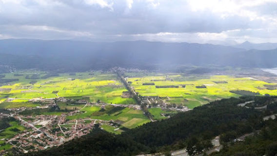 Gökova Eski Ağaçlı Yol