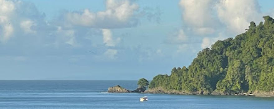 Grand Riviere Beach