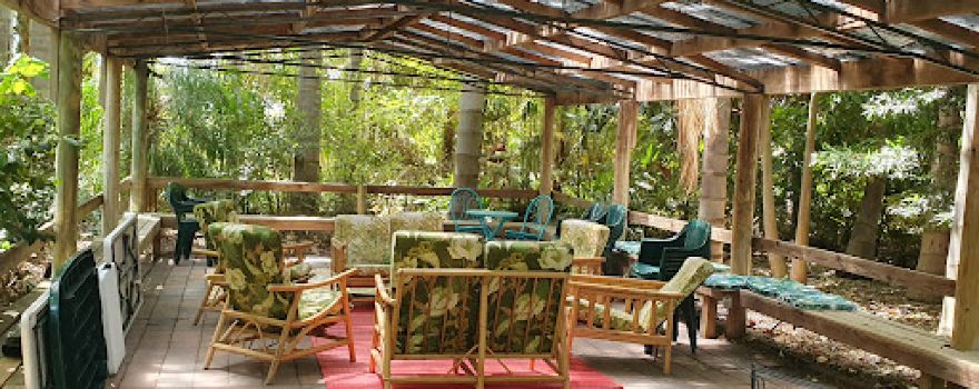 Jungle in Willunga