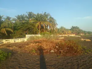 Playa Dorada