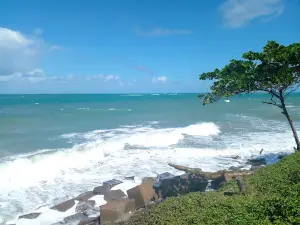 Playa la Ermita