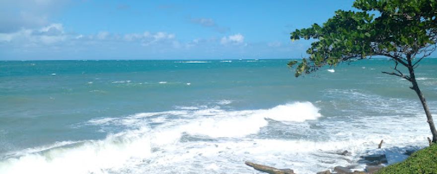 Playa la Ermita