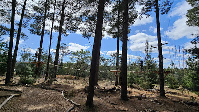 Treetops Adventure Canberra
