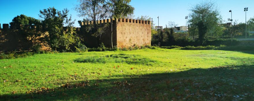 Lalla Amina Garden