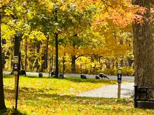 South Lake Campground