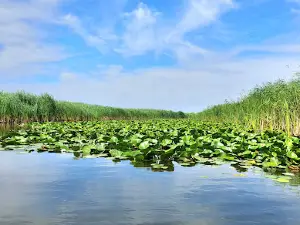Danube Biosphere Reserve