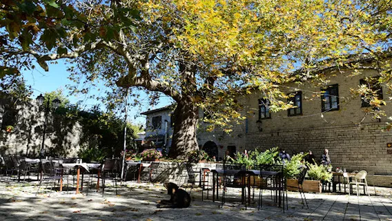 Monodendri Central Square