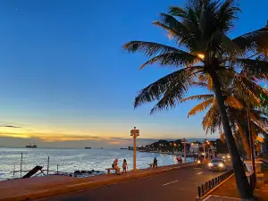 R.T. Lim Boulevard