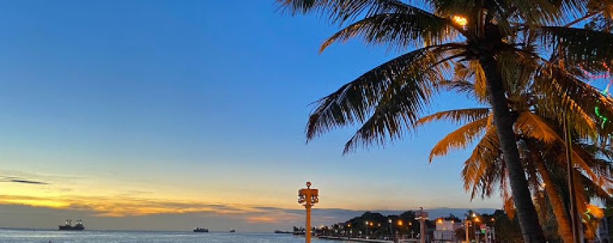 R.T. Lim Boulevard