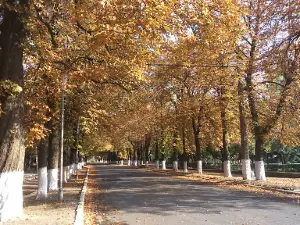 Парк Поколений