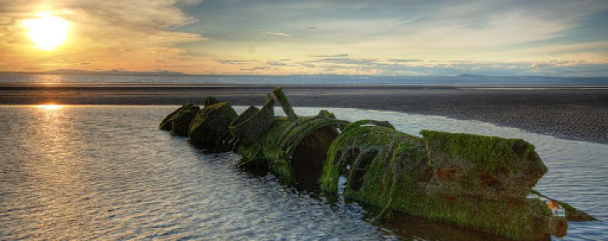 Aberlady Bay Local Nature Reserve