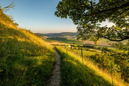 豪森奧布費雷納