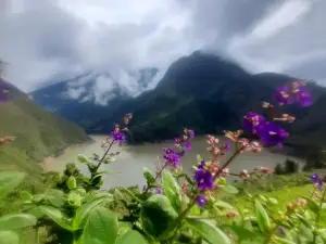 Sendero Ecologico Los Clavellinos