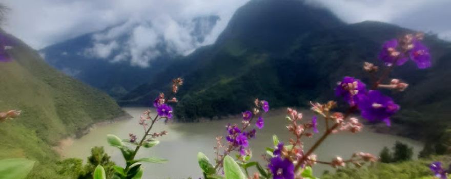 Sendero Ecologico Los Clavellinos