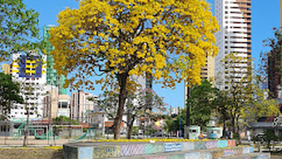 Square Alcides Carneiro