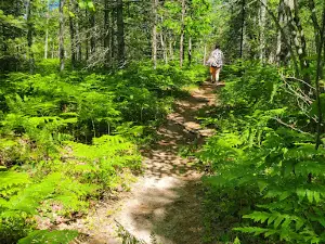 Black Creek Nature Sanctuary
