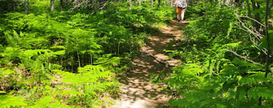 Black Creek Nature Sanctuary