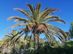 Camping Olhão