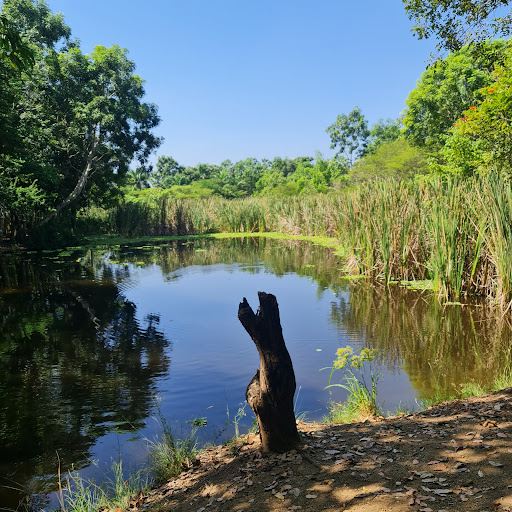 Humedales de Matanzas National Park