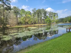 Sam Houston National Forest - Double Lake Recreation Area