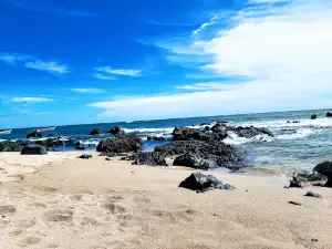 Playa Los Cobanos