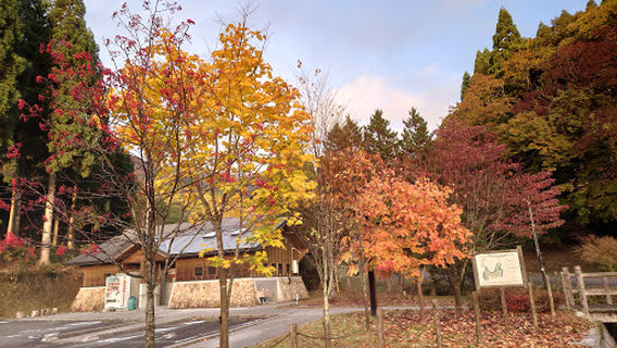 Tanami Camping Ground