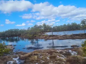 Matsimäe karjääri lõkkekoht