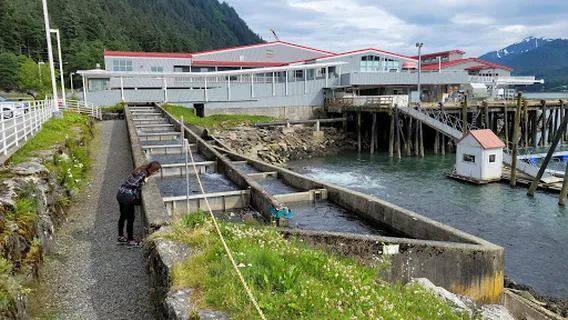 DIPAC Macaulay Salmon Hatchery