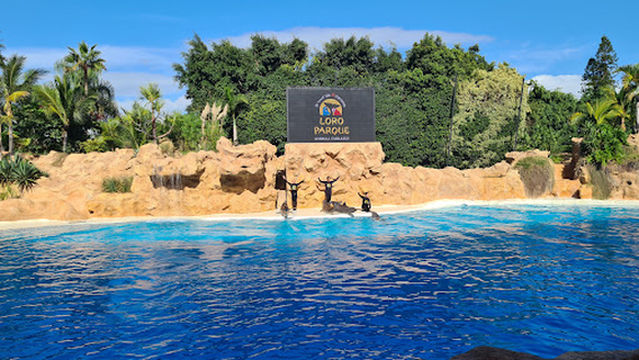 Dolphinarium