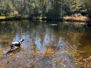 Apple Hill Campground