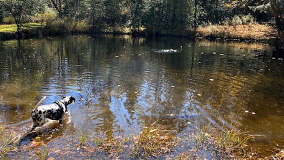 Apple Hill Campground