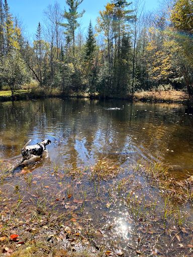 Apple Hill Campground