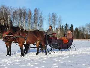 Klajumi, Zirgu sēta
