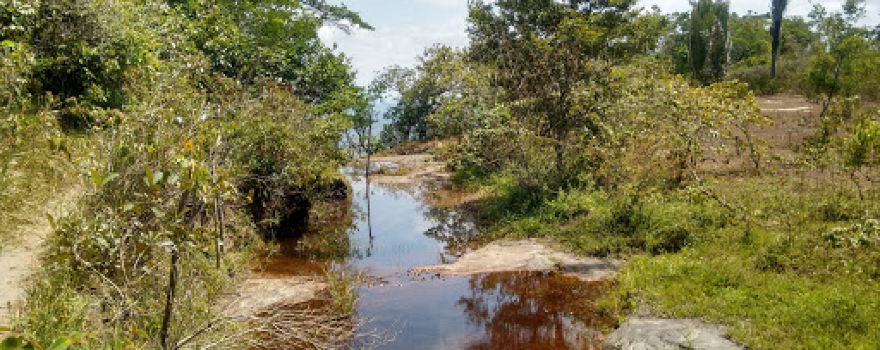 Cachoeira Da Mata Fresca