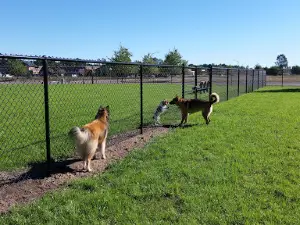 Lakeland Area Dog Park